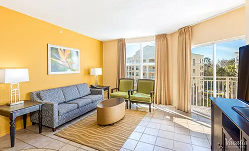 Compare Suites